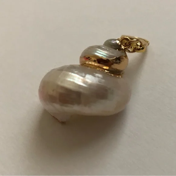 Shell Bikini Charm🐚 - Picture 3 of 7